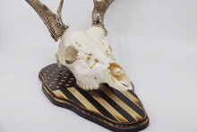 Load image into Gallery viewer, Whitetail Deer Taxidermy Euro Plaque - Carved USA Flag - American Flag - Rustic Flag